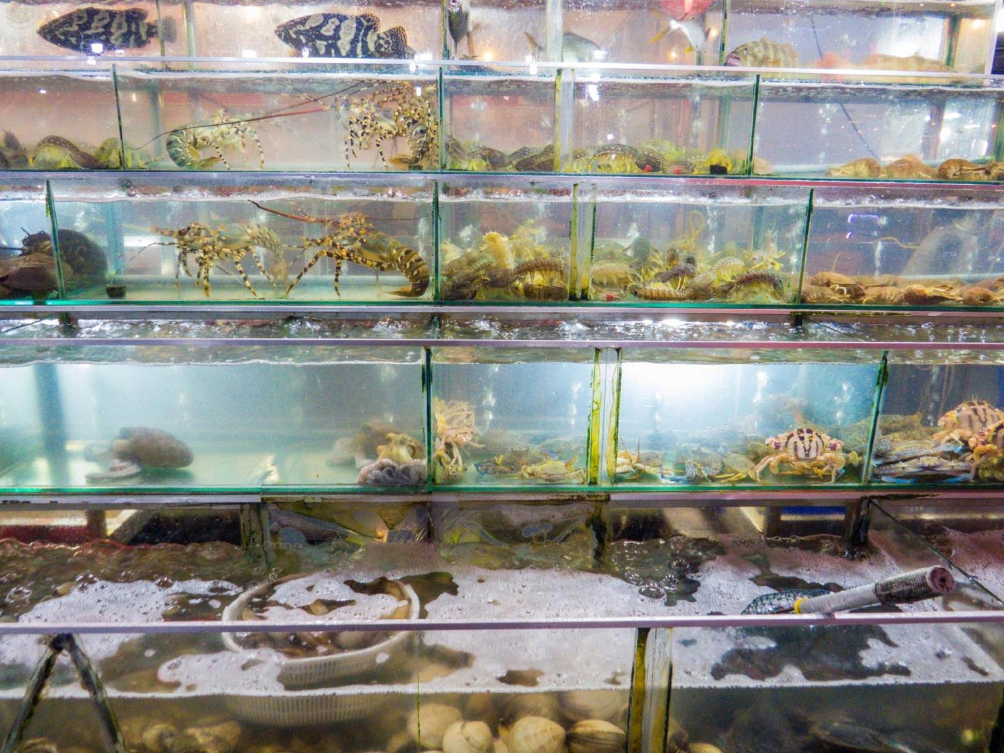 Linh Dan Bungalow 富国 外观 照片